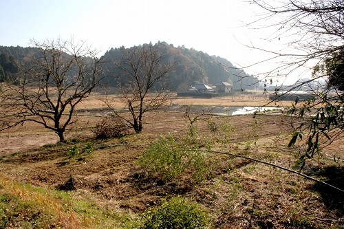 御成街道旧道風景 油井 東金市 千葉県
