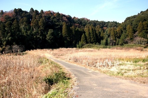 御成街道旧道（おあし坂見返り） 油井 東金市 千葉県
