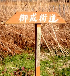 御成街道旧道（十六石殿近辺） 大豆谷（まめざく） 東金市 千葉県