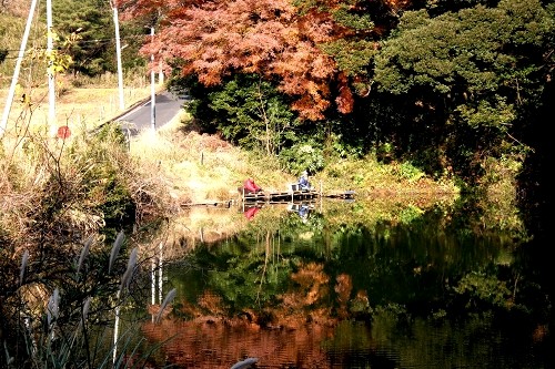 新池 大豆谷 東金市 千葉県