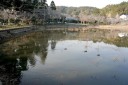 八鶴湖・東金城址 東金 東金市 千葉県