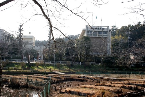 東金御殿跡(東金高校) 東金 東金市 千葉県