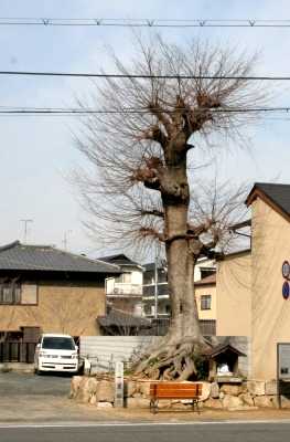大宅一里塚 大宅甲ノ辻町 山科区 京都市