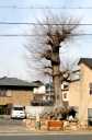 大宅一里塚 大宅甲ノ辻町 山科区 京都市