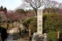 小野梅園 随心院 小野御霊町 山科区 京都市