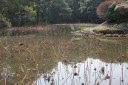 氷室池 勧修寺 山科区 京都市