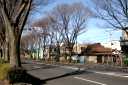 青梅街道 関町南１丁目 練馬区 東京都