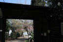 井口家 八幡町３丁目 武蔵野市 東京都