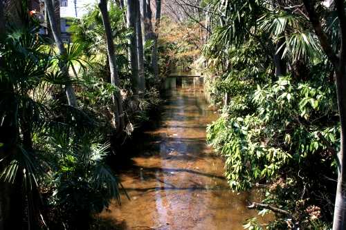 玉川上水 西東京市新町5丁目/武蔵野市桜堤2丁目 東京都