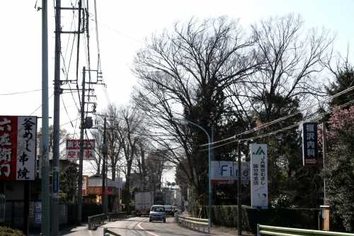 けやき並木 並木町2丁目 国分寺市 東京都