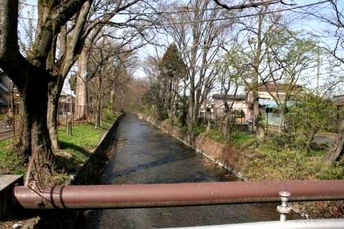 天王橋より玉川上水 一番町2丁目 立川市 東京都