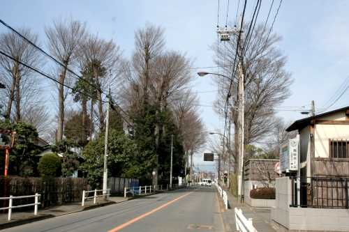 旧五日市街道 西砂町5丁目 立川市 東京都