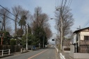 旧五日市街道 西砂町５丁目 立川市 東京都