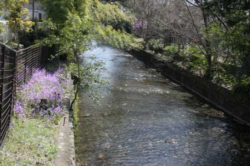 玉川上水・牛浜橋 牛浜 福生市 東京都