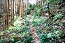 旧成木街道 黒沢２丁目 青梅市 東京都