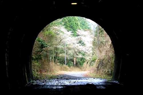 吹上隧道(昭和トンネル) 出口 成木8丁目 青梅市 東京都