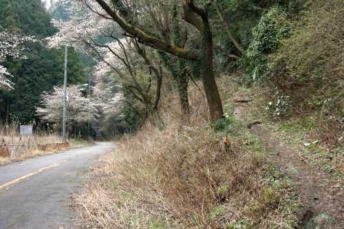 旧成木街道 成木8丁目 青梅市 東京都
