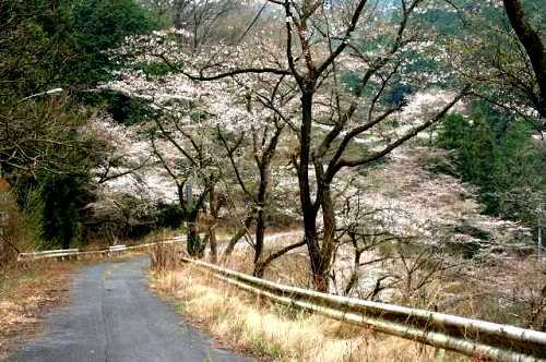 旧成木街道 成木8丁目 青梅市 東京都