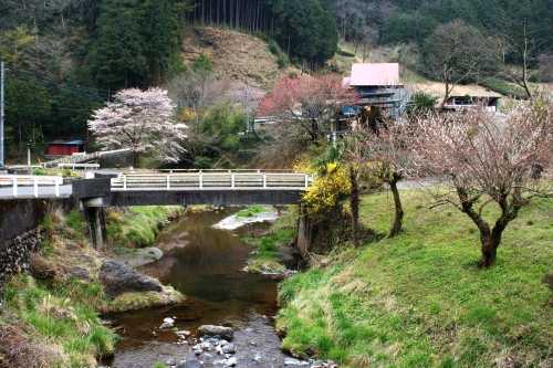 成木川 成木6丁目 青梅市 東京都