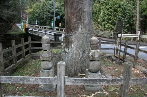佐藤塚 成木８丁目 青梅市 東京都
