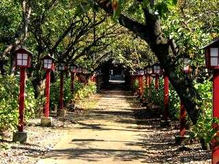 橿原神社 新田 羽川 栃木