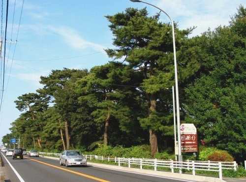 国道４号 祇園原 小金井－石橋 栃木