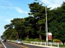 国道４号 祇園原 小金井－石橋 栃木