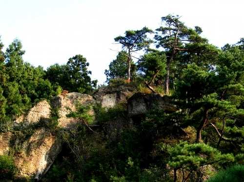 大谷寺 大谷