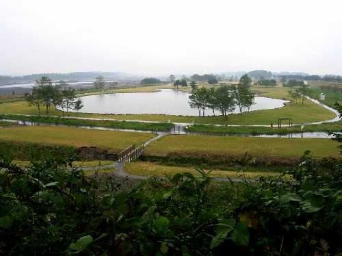 鬼怒川河川公園 氏家 栃木