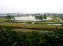 鬼怒川河川公園 氏家 栃木