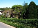 寒竹囲の家 喜連川 栃木