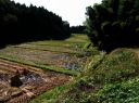 源氏ホタルの里 蟹沢 喜連川 栃木