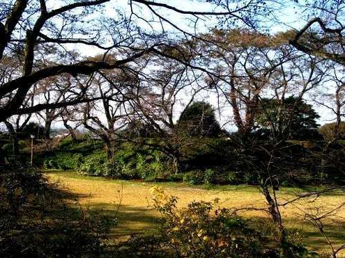 本丸跡 大田原城址 大田原 栃木