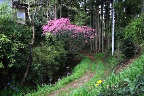練貫 那須道古道・永代常夜灯 大田原 栃木