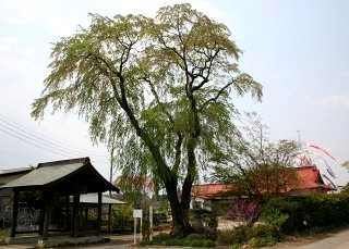 鍋掛宿 昭明橋付近 那須塩原市 栃木