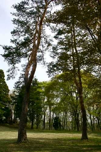 白川城址 八竜神 白河市 福島