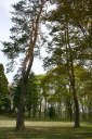 白川城址 八竜神 白河市 福島