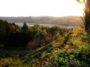 芦野氏陣屋跡 芦野 栃木 別称 芦野城・桜ヶ城・御殿山