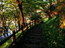 芦野氏陣屋跡 芦野 栃木 別称 芦野城・桜ヶ城・御殿山