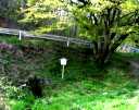 衣がえの清水 白坂 白河市 福島