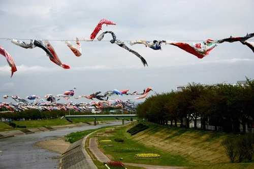 こどもの日 釈迦堂川 須賀川