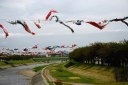 こどもの日 釈迦堂川 須賀川