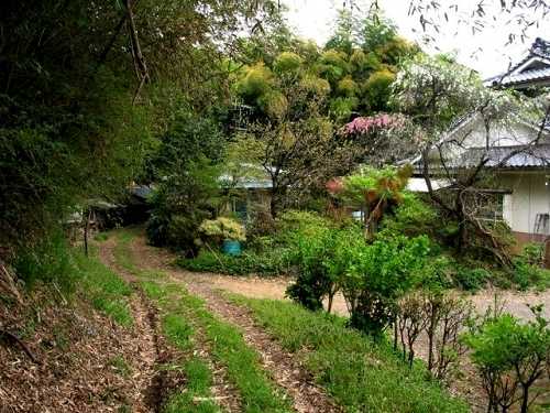 旧道 四ツ屋前 泉崎村 西白河郡 福島