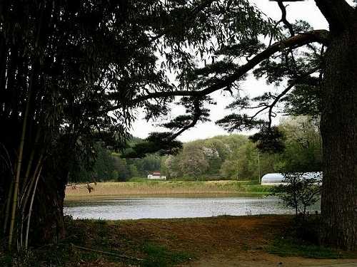 「新池」 踏瀬 泉崎村 西白河郡 福島