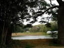 「新池」 踏瀬 泉崎村 西白河郡 福島