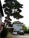 本陣跡 本町 矢吹町 西白河郡 福島