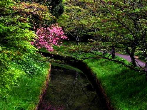 翠ヶ丘公園・市立博物館 愛宕山 須賀川市 福島