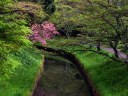 翠ヶ丘公園・市立博物館 愛宕山 須賀川市 福島