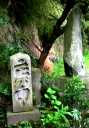 下りの清水 十念寺裏側 池上町 須賀川市 福島