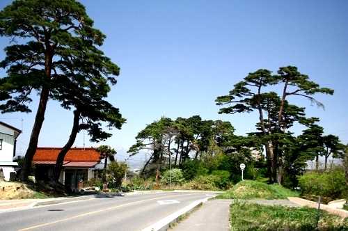 すずき瓦店付近 向山 日和田町 郡山市